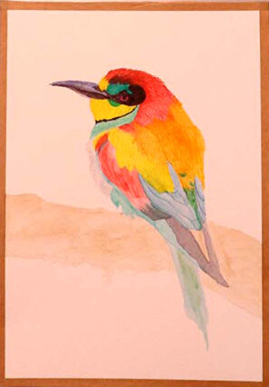 akvarel pták
