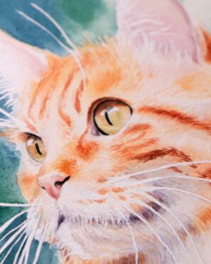 Kočka malovaná akvarelem