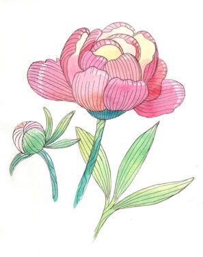 Stylizovaná květina - akvarel