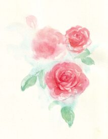 akvarelové růže