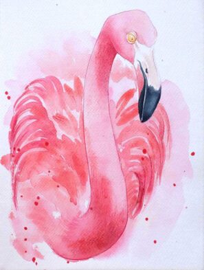 Málková plameňák