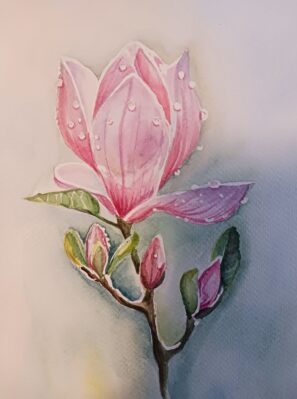 magnolie