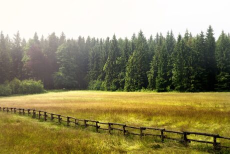 předloha krajina